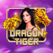 Dragon Tiger on phspin login password