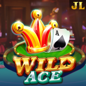 Wild Ace slot on phspin login password